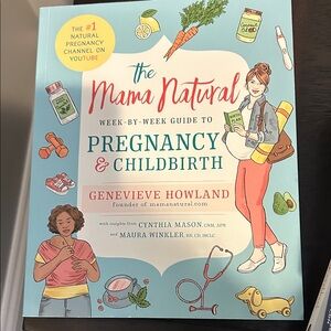 The Mama Natural Guide to Pregnancy & Childbirth Book